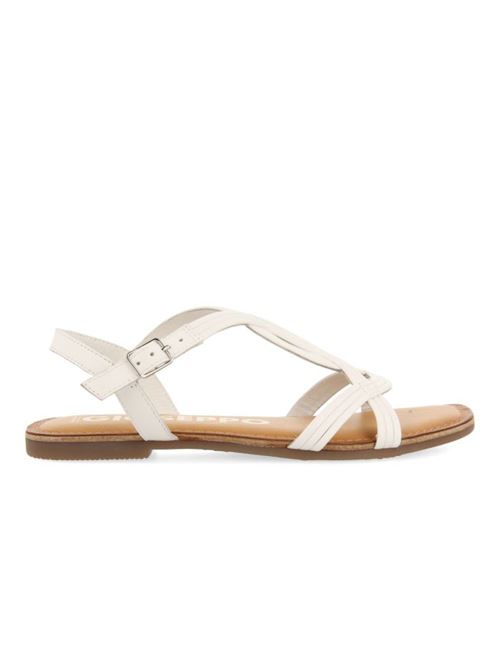  GIOSEPPO | ELBASANPWHT