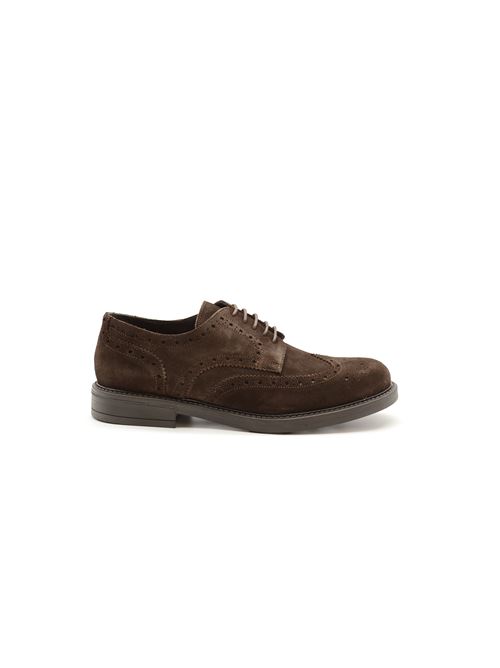 DERBY WILSON TDM ZANFRINI | AMA02CTDM