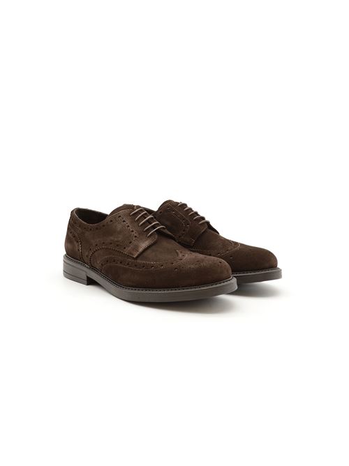 DERBY WILSON TDM ZANFRINI | AMA02CTDM