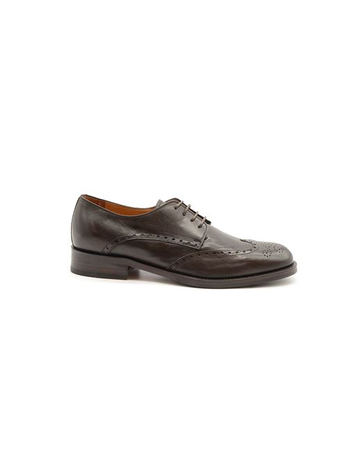 DERBY LACCI WILSON MARRONE ZANFRINI | BL38PTDM