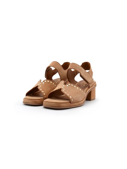  ALPE | 54791136CTAN