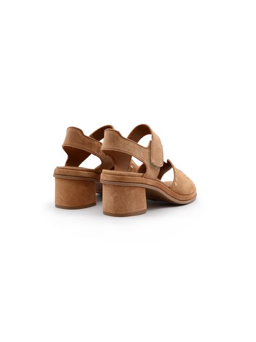  ALPE | 54791136CTAN