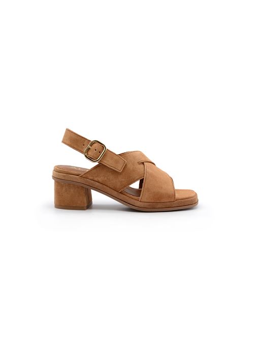  ALPE | 54821136CTAN