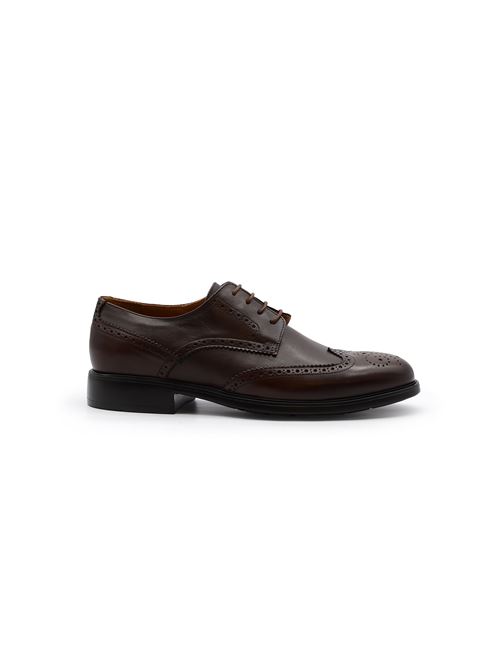 DERBY WILSON EXTRAç ZANFRINI | 6132PTDM