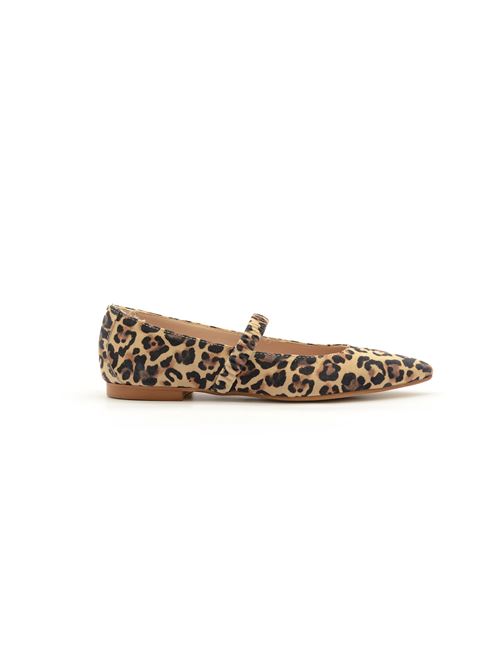  ZANFRINI | B018CLEO