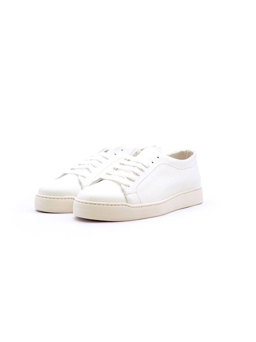  ZANFRINI | GOLDENGWHT