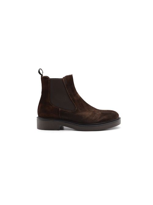 BEATLES LISCIO MARRONE DAINITE ZANFRINI | D504CTDM