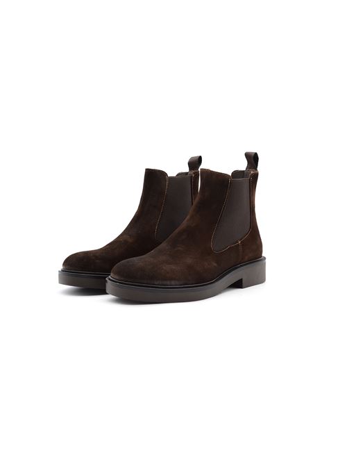 BEATLES LISCIO MARRONE DAINITE ZANFRINI | D504CTDM