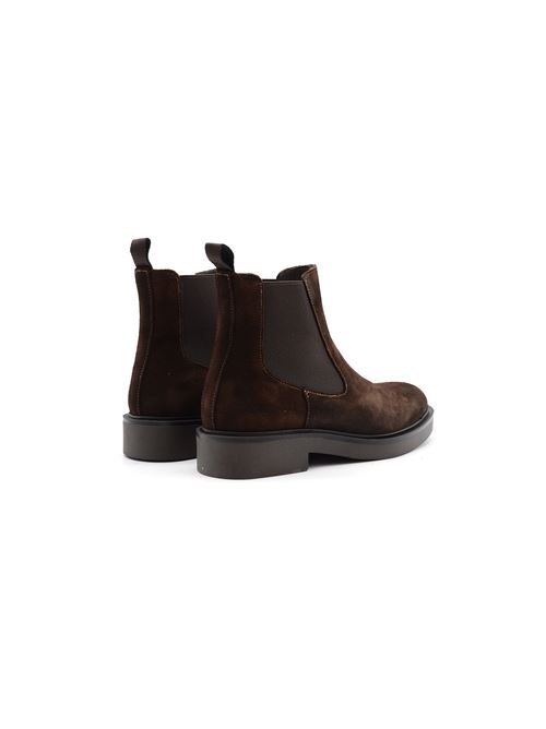 BEATLES LISCIO MARRONE DAINITE ZANFRINI | D504CTDM