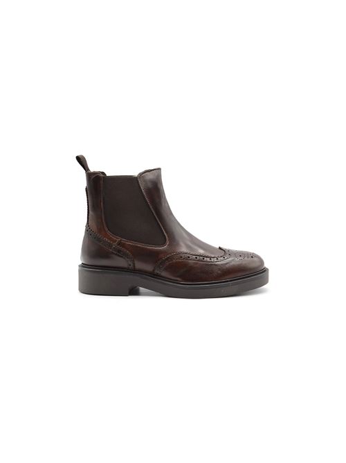 BEATLES WILSON MARRONE DAINITE ZANFRINI | D613/HPTDM